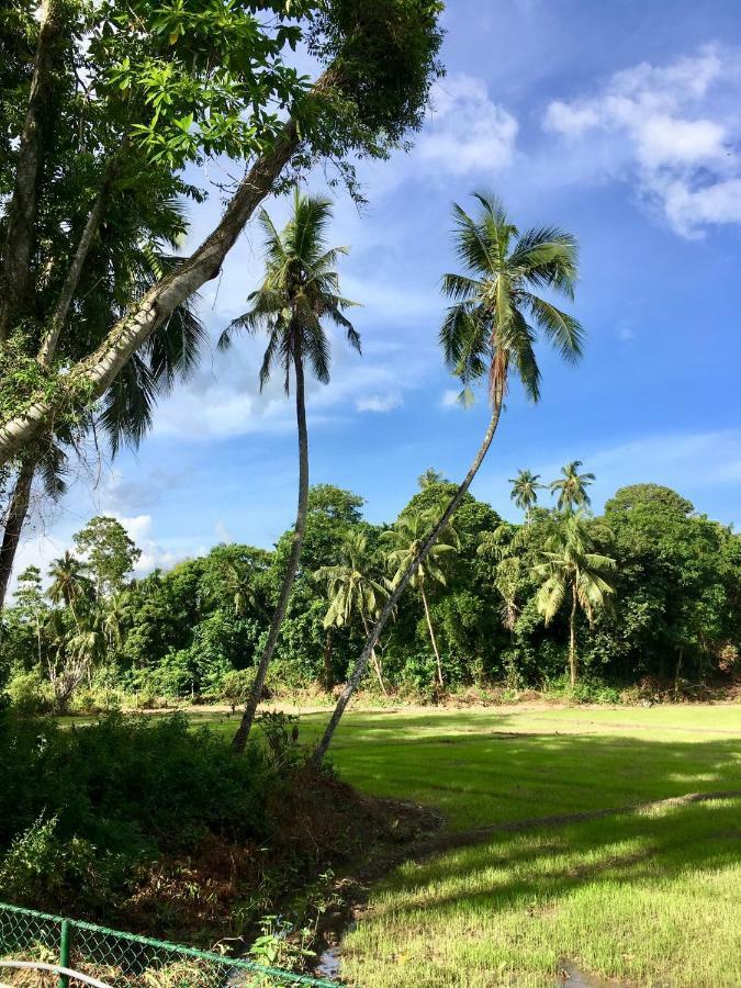Uyana Boutique Hotel And Retreat Adults Only Ahangama Eksteriør billede