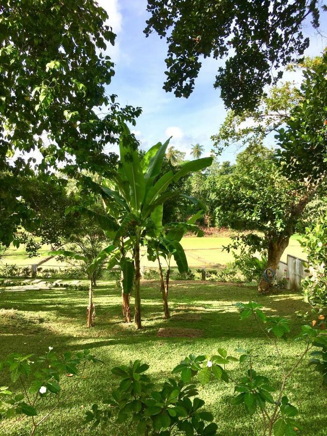 Uyana Boutique Hotel And Retreat Adults Only Ahangama Eksteriør billede